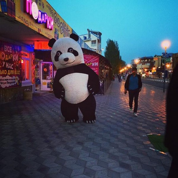 Чёткая панда. 15.05.2015 в Анапе