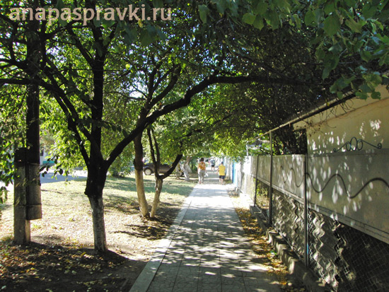 Улица Ивана Голубца в городе Анапа