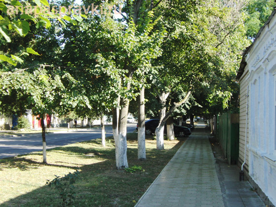 Улица Ивана Голубца на курорте Анапа