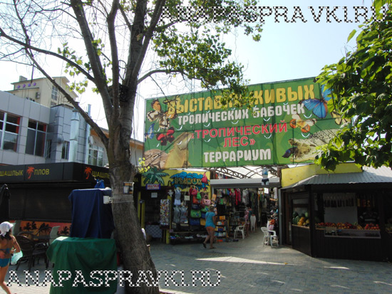 Рыночек, а за ним - террариум и выставка бабочек в Витязево
